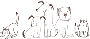 A black and white doodle of dogs and cats sitting next to each other