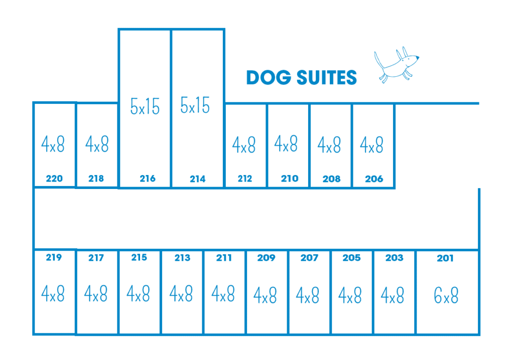 Dog Boarding & Doggy Daycare in Phoenix, AZ Canine Country Club